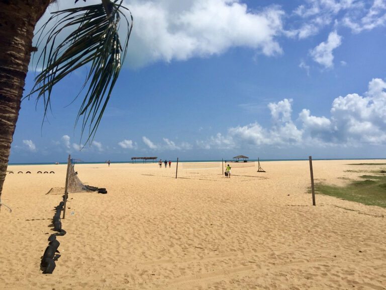Praia do Cardeiro