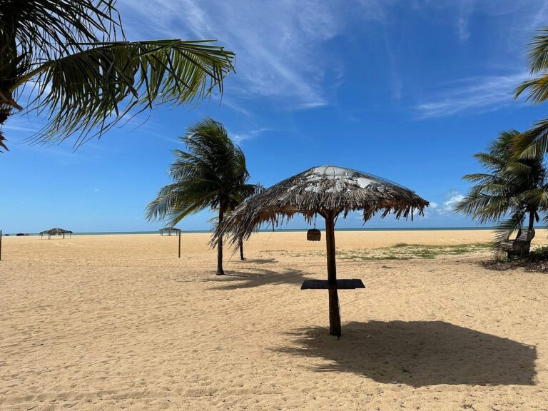 Praia do Cardeiro