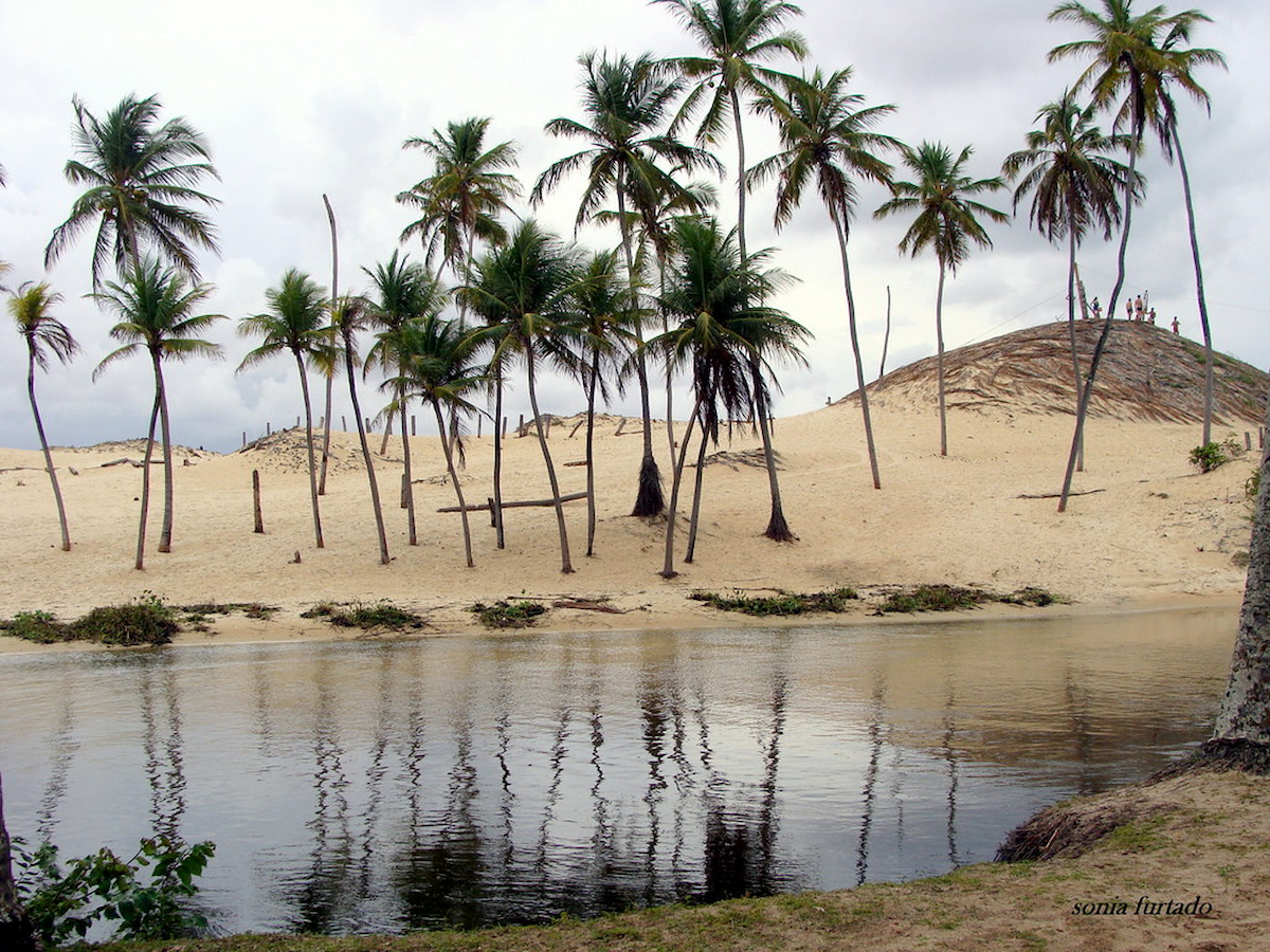 Rio Punaú